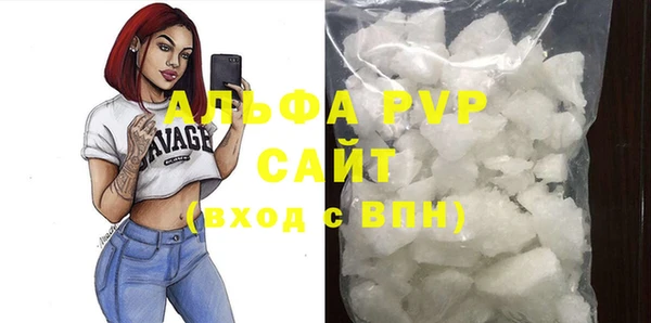 стаф Новокубанск