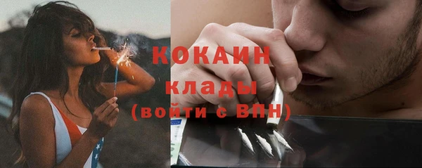 стаф Новокубанск