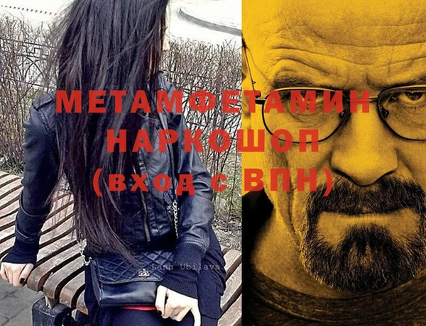стаф Новокубанск
