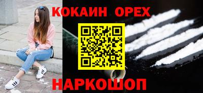 крисы Гатчина