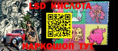 крисы Гатчина