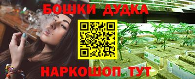 индика Гагарин
