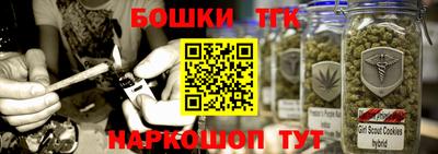 крисы Гатчина