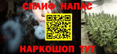 индика Дубна